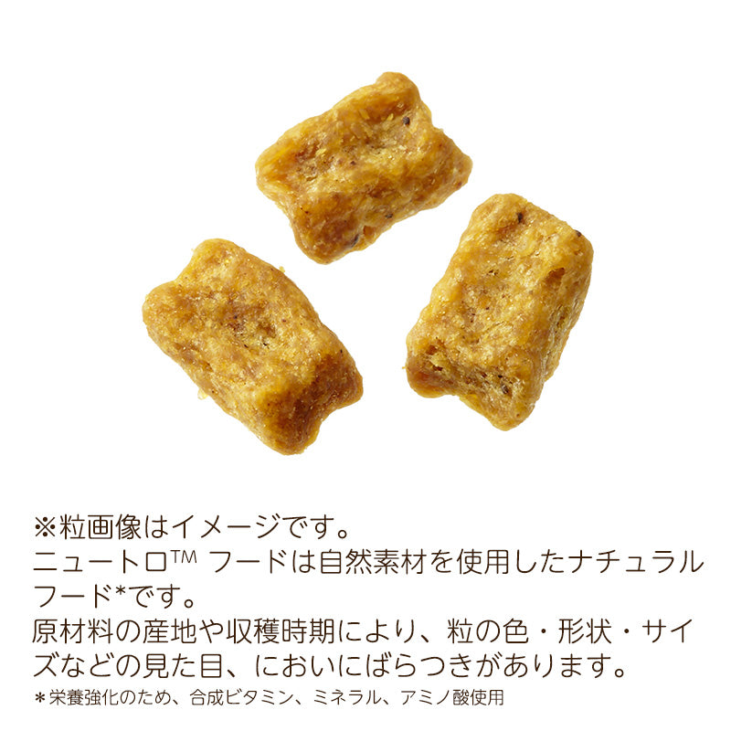 ニュートロ ナチュラルチョイス 避妊・去勢犬用 超小型犬~小型犬用 成犬用 生後8ヶ月以上 チキン&玄米 3kgX4 ND312
