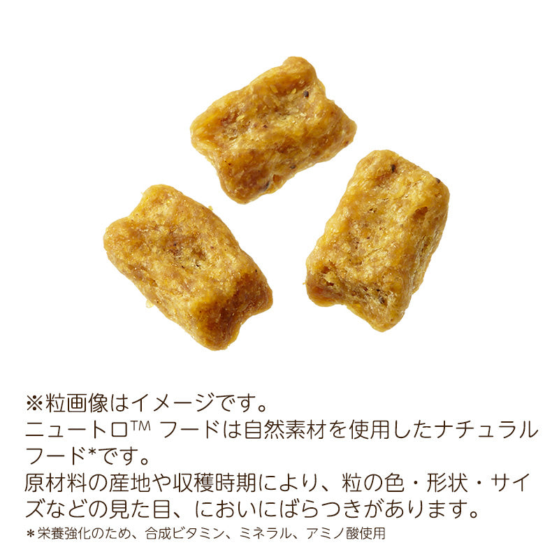 ニュートロ ナチュラルチョイス 避妊・去勢犬用 超小型犬~小型犬用 エイジングケア チキン&玄米 1kgX10 ND315