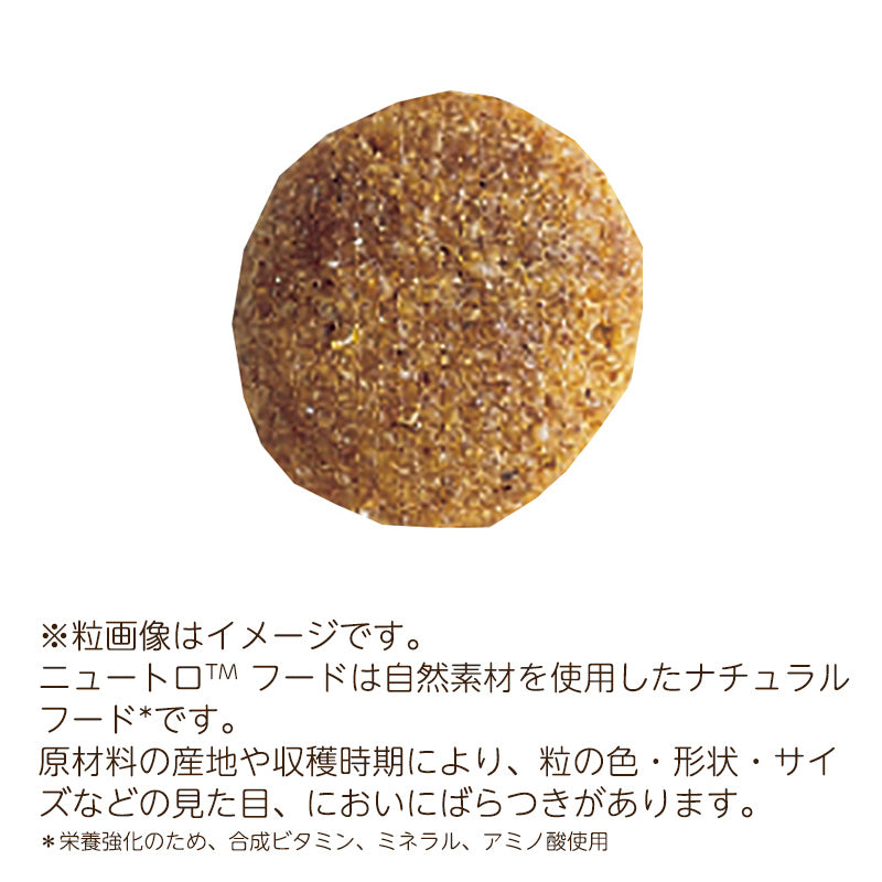 ニュートロ ナチュラルチョイス 大型犬用 子犬用 チキン&玄米 3kg ND325