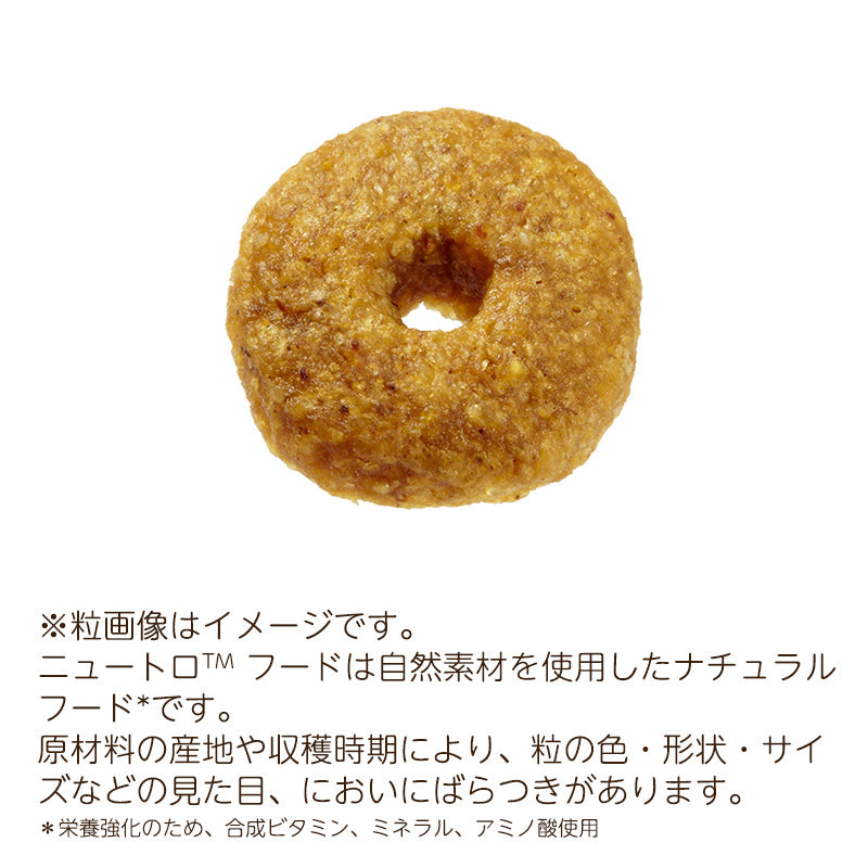 ニュートロ ナチュラルチョイス 中型犬~大型犬用 エイジングケア チキン&玄米 4kg ND332