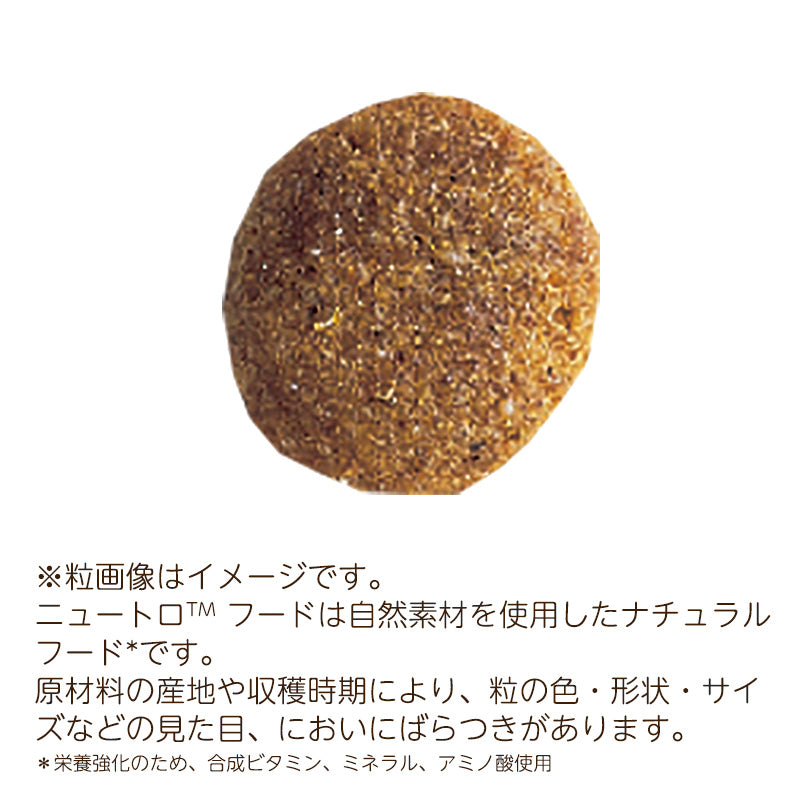 ニュートロ ナチュラルチョイス ラム&玄米 子犬用 全犬種用 6kg ND365
