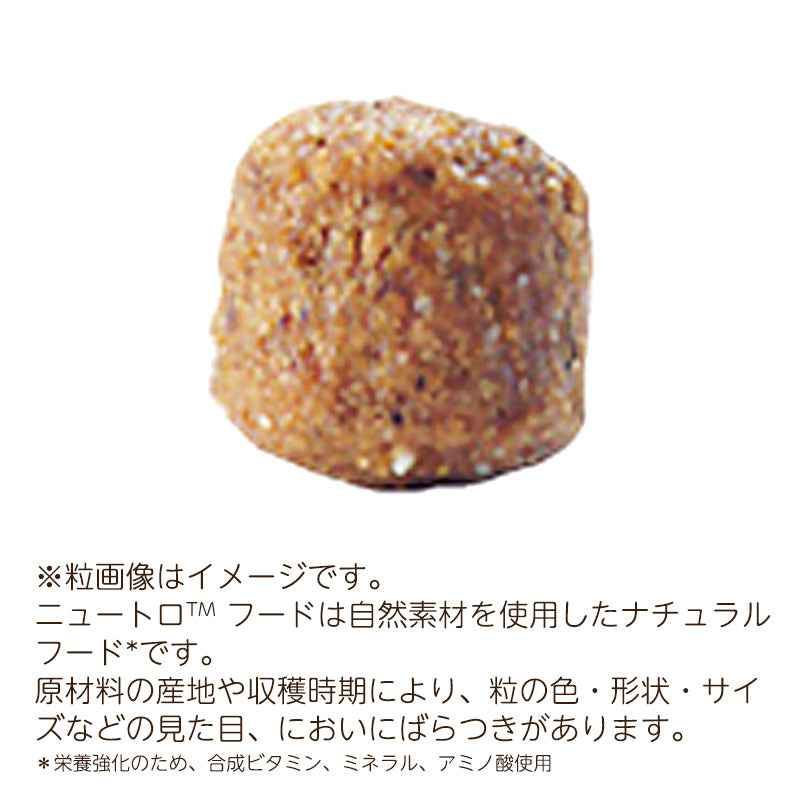 ニュートロ ナチュラルチョイス ラム&玄米 超小型犬~小型犬用 成犬用 6kg ND369