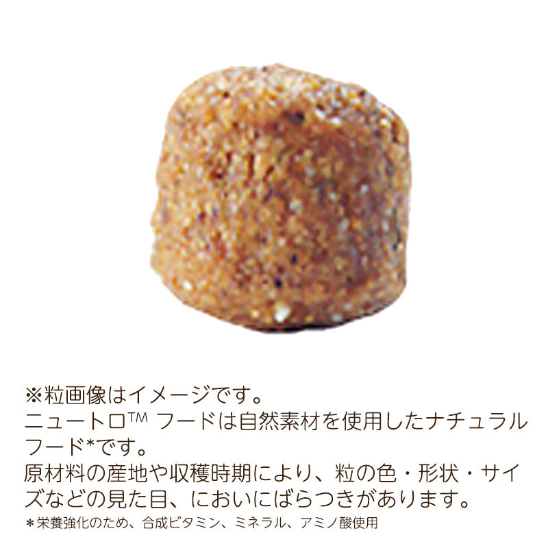 ニュートロ ナチュラルチョイス ラム&玄米 超小型犬~小型犬用 エイジングケア 6kgX2 ND373
