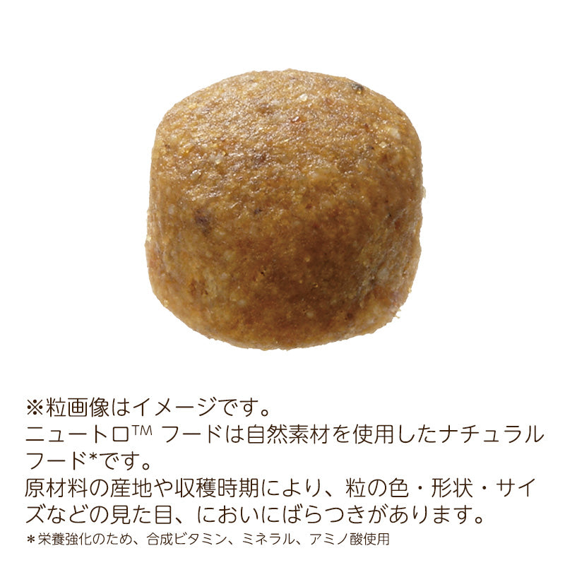 ニュートロ ナチュラルチョイス ラム&玄米 中型犬~大型犬用 成犬用 13.5kg ND378
