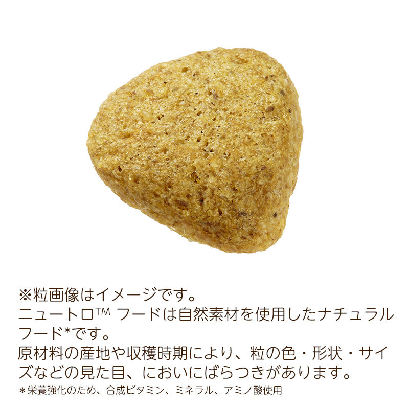 ニュートロ ナチュラルチョイス 減量用 全犬種用 成犬用 ラム&玄米 2kgX8 ND386