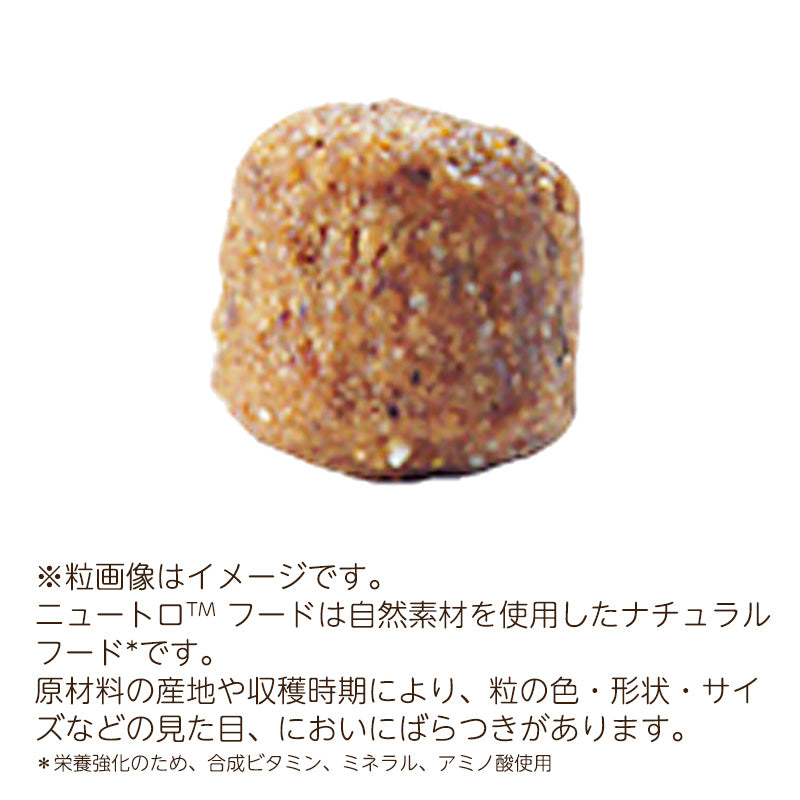 ニュートロ ナチュラルチョイス 鹿肉&玄米 超小型犬~小型犬用 成犬用 2kg ND392