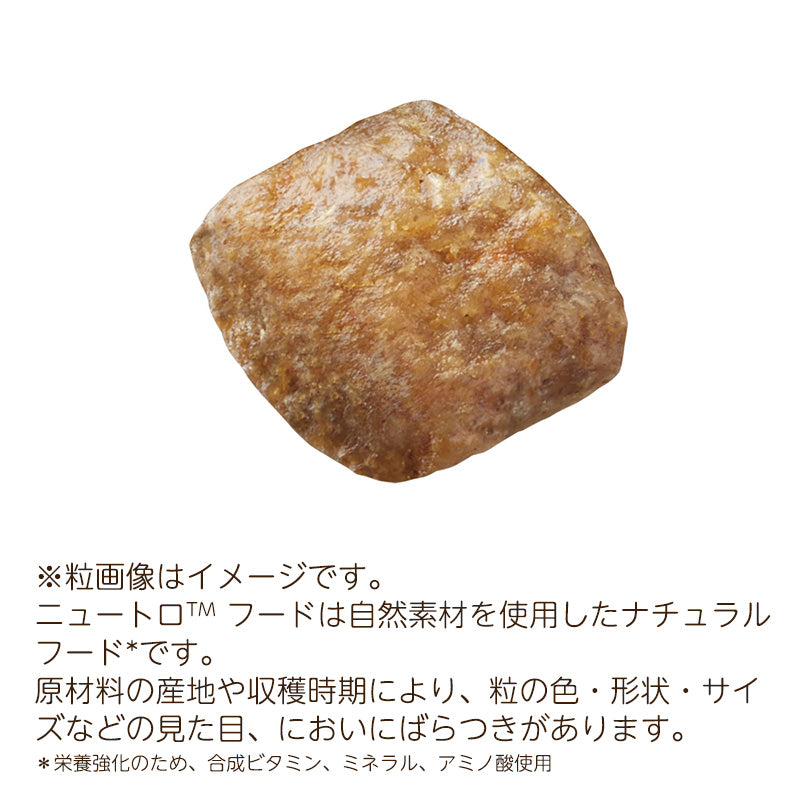 ニュートロ シュプレモ 子犬用 小粒 3kgX4 NS103
