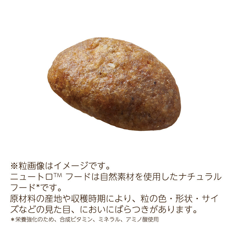 ニュートロ シュプレモ 小型犬用 成犬用 6kgX2 NS109
