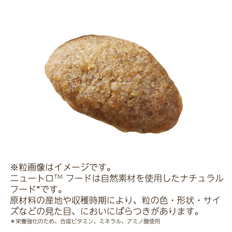 ニュートロ シュプレモ 超小型犬~小型犬用 体重管理用 6kgX2 NS117