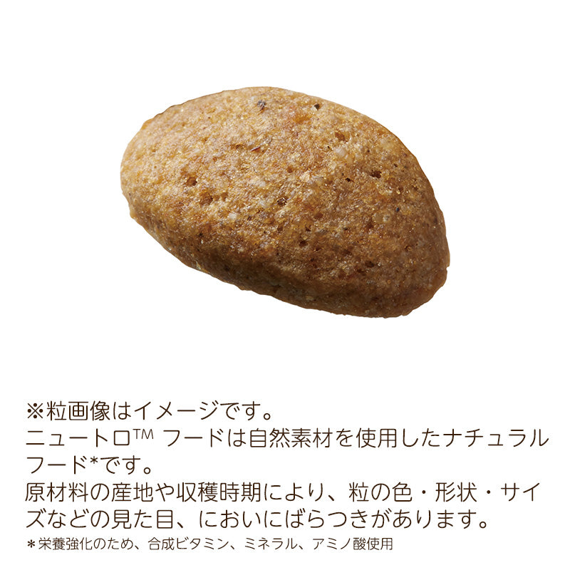 ニュートロ シュプレモ 成犬用 7.5kg NS121