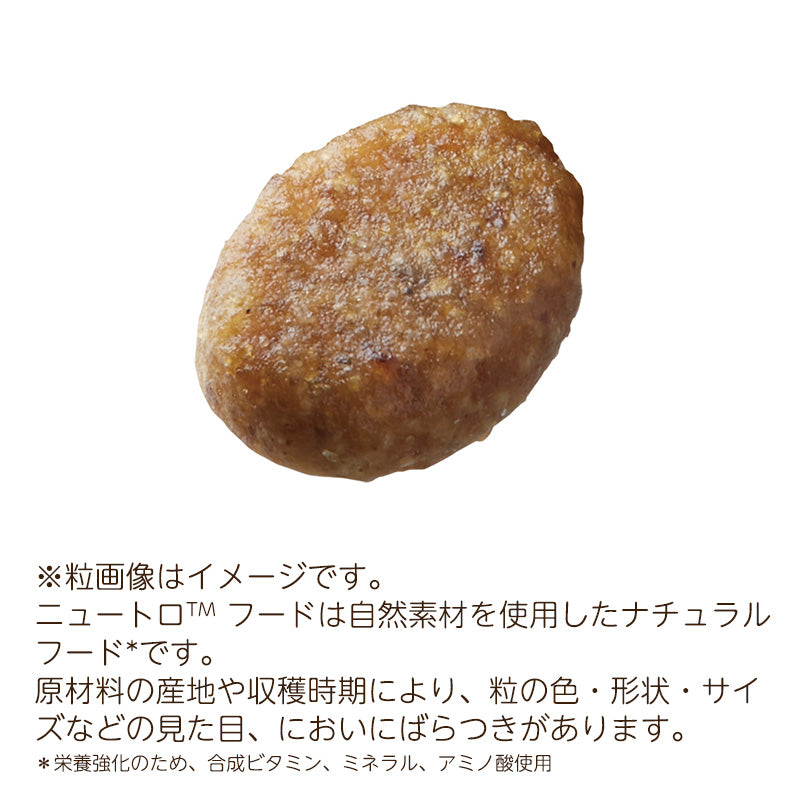 ニュートロ キャット ワイルド レシピ キトン チキン 子猫用 2kg NW204
