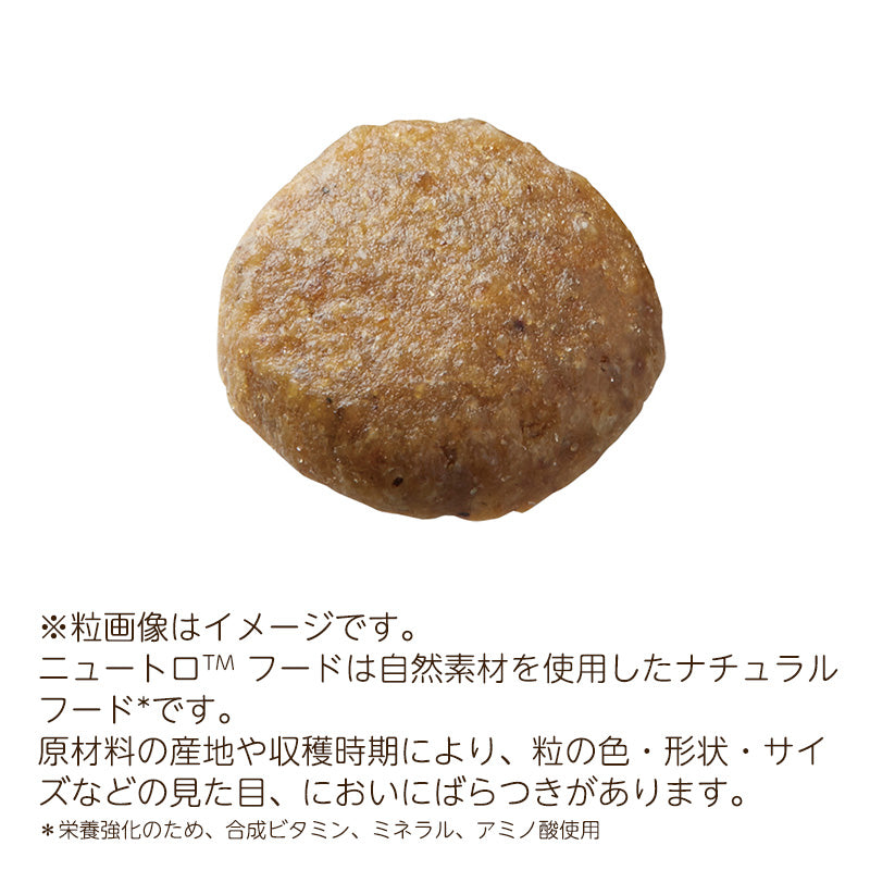 ニュートロ キャット ワイルド レシピ アダルト チキン 成猫用 2kg NW216