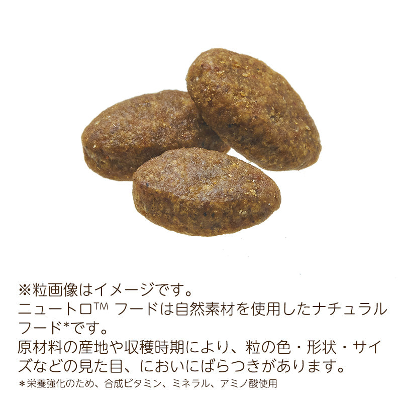 ニュートロ シュプレモ 超小型犬~小型犬用 成犬用 プレミアムブレンド ビーフ 1.5kg NS307