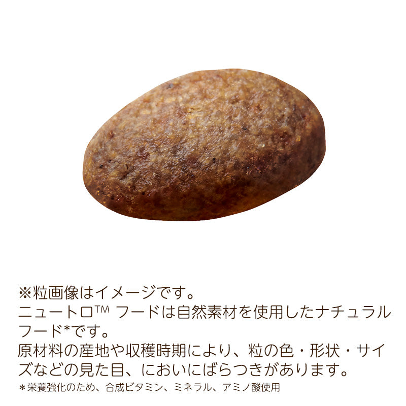 ニュートロ シュプレモ 超小型犬~小型犬用 成犬用 牧場のレシピ ビーフ 4kgX4 NS208