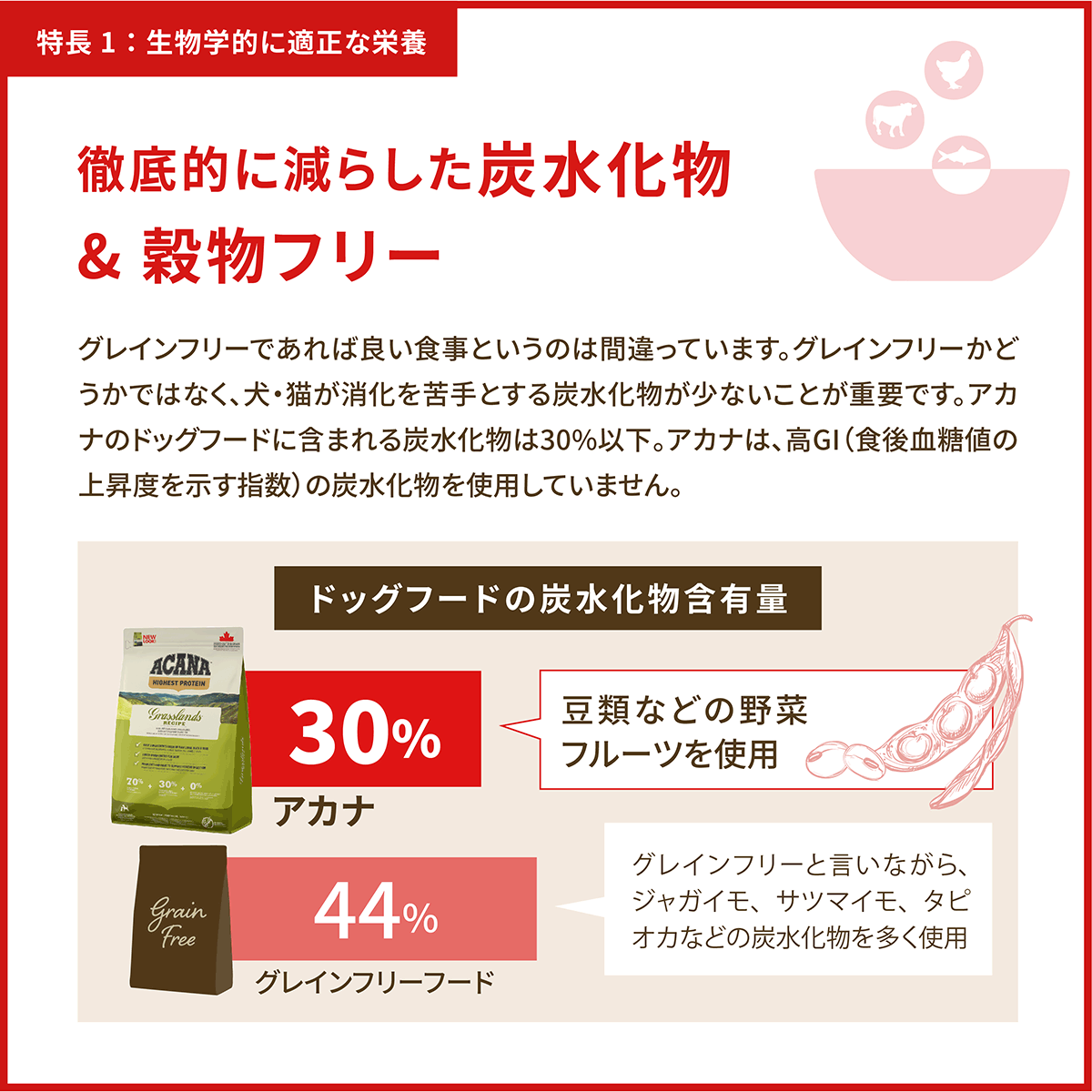 アカナ パピーレシピ11.4kg ACANA アカナ パピーレシピ 11.4kg 子犬用 