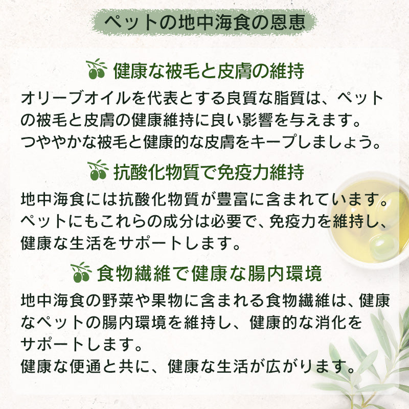 アンブロシア HMN ラム 100g 成犬用 全犬種用 ドッグフード