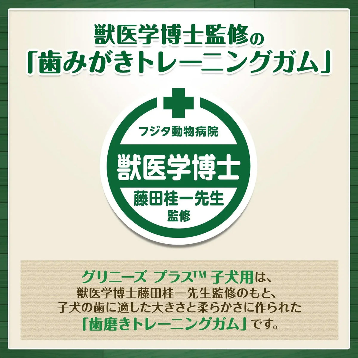 グリニーズ プラス 子犬用 歯みがきトレーニングガム 10本入 CGPP01