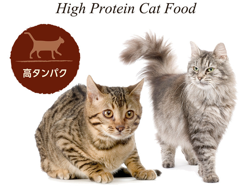 ニュートロ キャット ワイルド レシピ アダルト チキン 成猫用 2kg