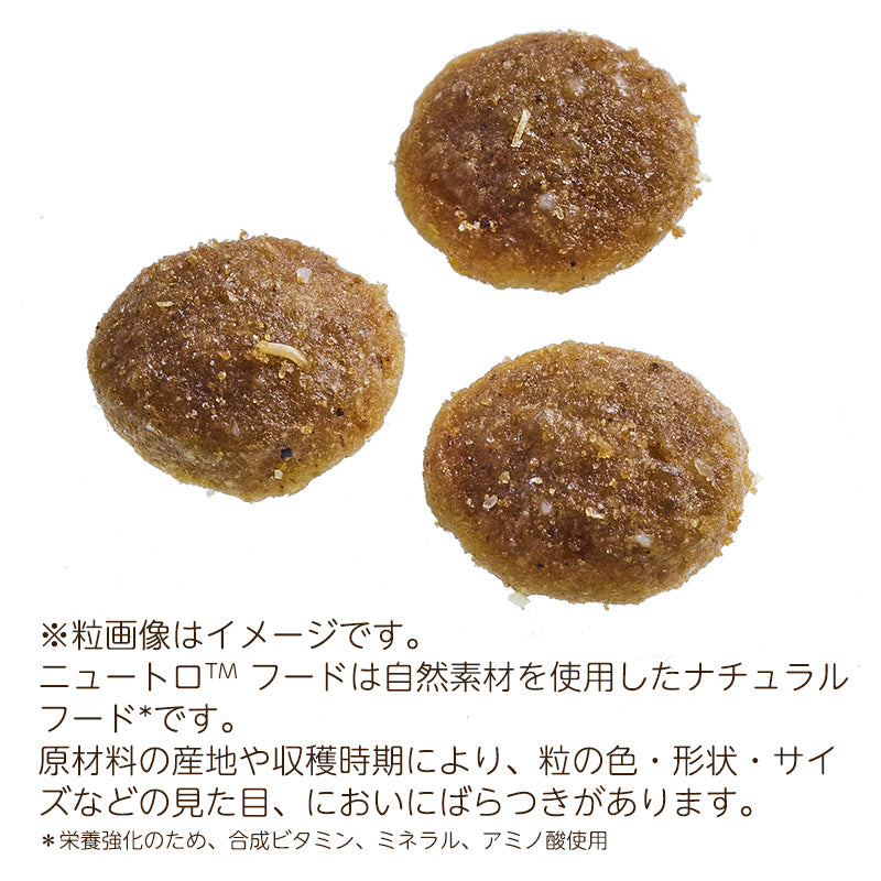 ニュートロ　シュプレモ　子猫用　チキン&サーモン　3kg 2セット 子猫用 チキン＆サーモン ニュートロ シュプレモ | 商品詳細