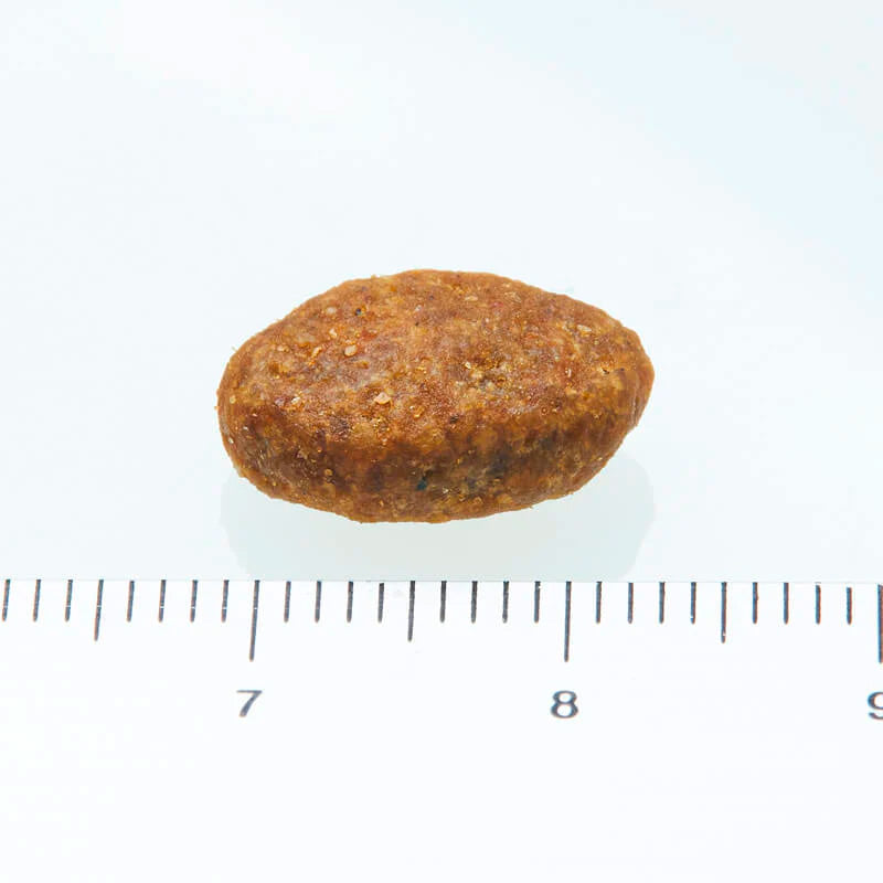 ニュートロ シュプレモ 超小型犬～小型犬用 成犬用 プレミアムブレンド ビーフ 1.5kg NS307