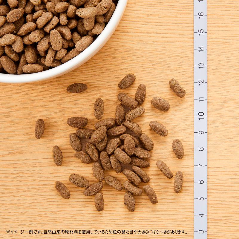 ニュートロ ナチュラルチョイス キャット 室内猫用 アダルト チキン 400gX10 NC186 (取り寄せ/5営業日以内に発送予定)