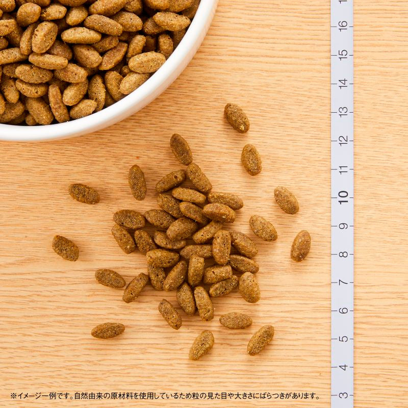 ニュートロ ナチュラルチョイス キャット 避妊・去勢猫用 アダルト 白身魚 2kg NC160