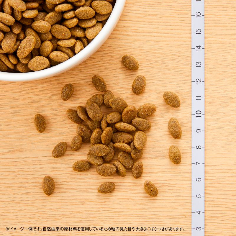 ニュートロ ナチュラルチョイス キャット 穀物フリー アダルト サーモン 2kg NC169