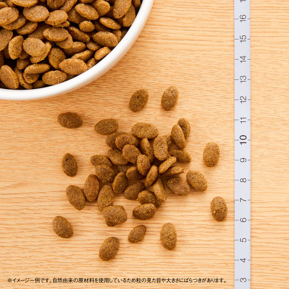 ニュートロ ナチュラルチョイス キャット 穀物フリー アダルト ダック 400gX10 NC193 (取り寄せ/5営業日以内に発送予定)