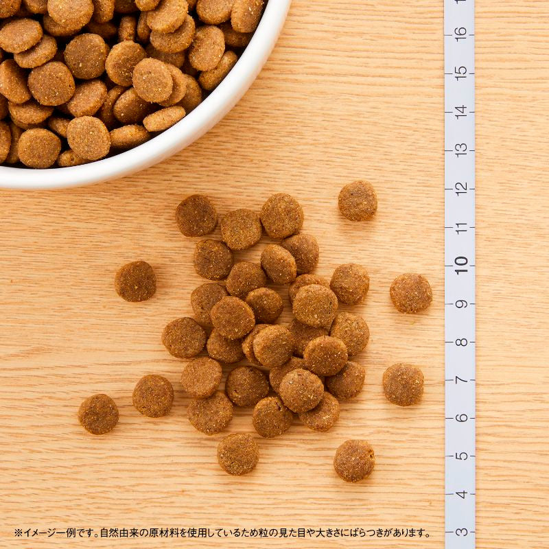ニュートロ ナチュラルチョイス キャット 食にこだわる猫用 アダルト チキン 400gX10 NC194 (取り寄せ/5営業日以内に発送予定)