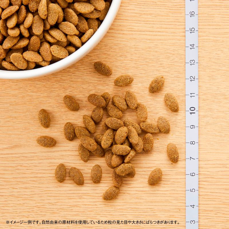ニュートロ ナチュラルチョイス キャット 毛玉トータルケア アダルト チキン 400gX10 NC195 (取り寄せ/5営業日以内に発送予定)