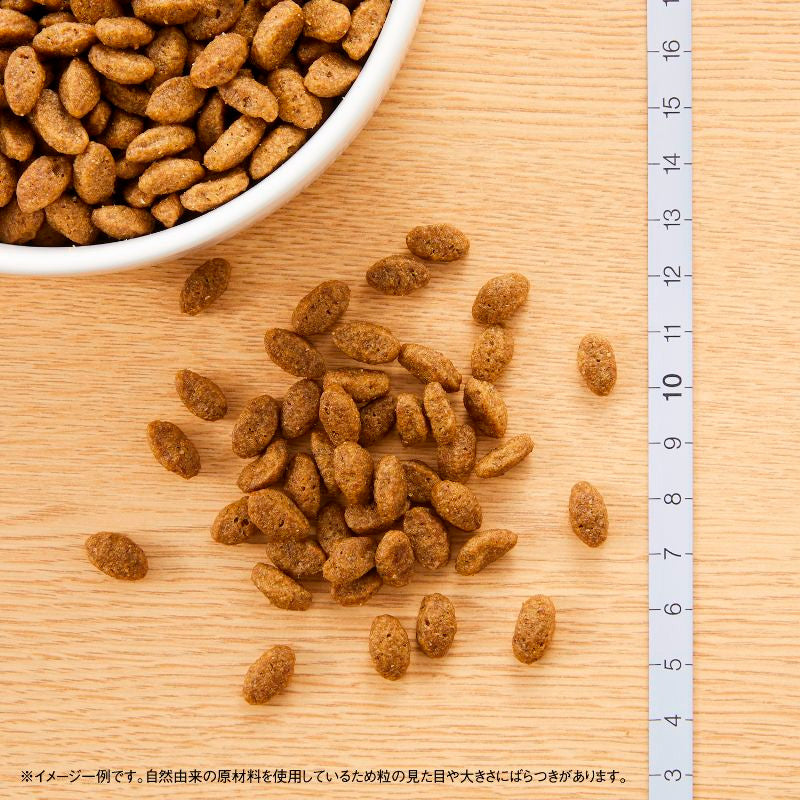 ニュートロ ナチュラルチョイス キャット 穀物フリー アダルト チキン 400gX10 NC196 (取り寄せ/5営業日以内に発送予定)