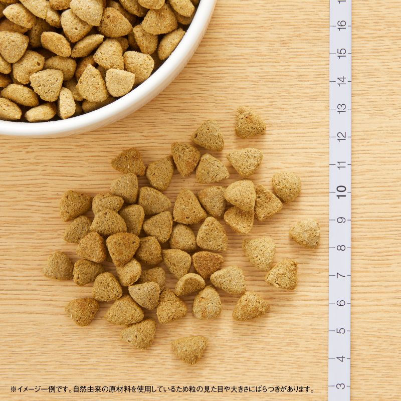 ニュートロ ナチュラルチョイス 減量用 全犬種用 成犬用 ラム＆玄米 4kgX4 ND387