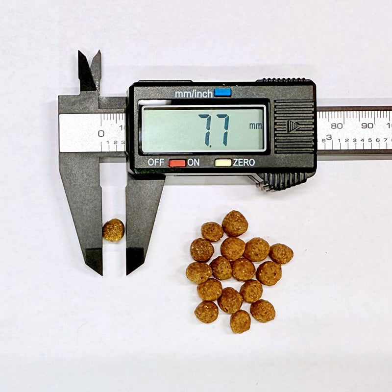 FORZA10 デイリープロ アダルト ミニ ラム 1.5kg (小粒) 成犬用
