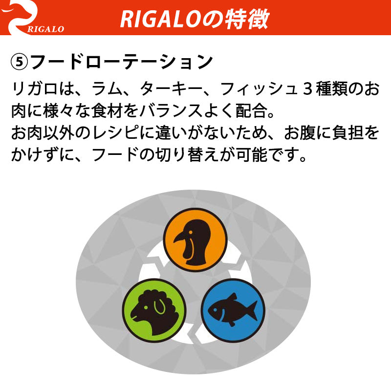 リガロ RIGALO ハイプロテインレシピ 子犬・成犬用 ターキー 3.6kg