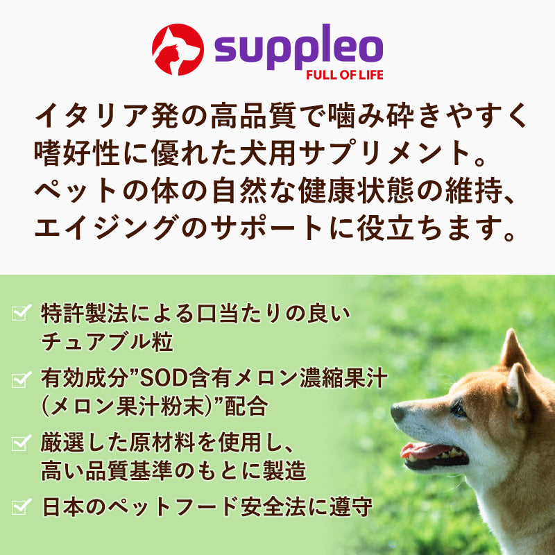 期間限定特別価格4/30迄】 犬用サプリメント SUPPLEO(サプレオ) 免疫 ...