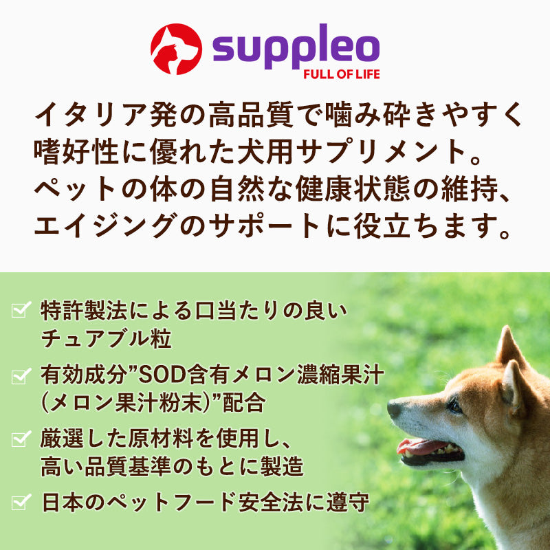 夏の大感謝祭価格 犬用サプリメント SUPPLEO(サプレオ) 免疫 イミューンシステム 0.55g×30粒