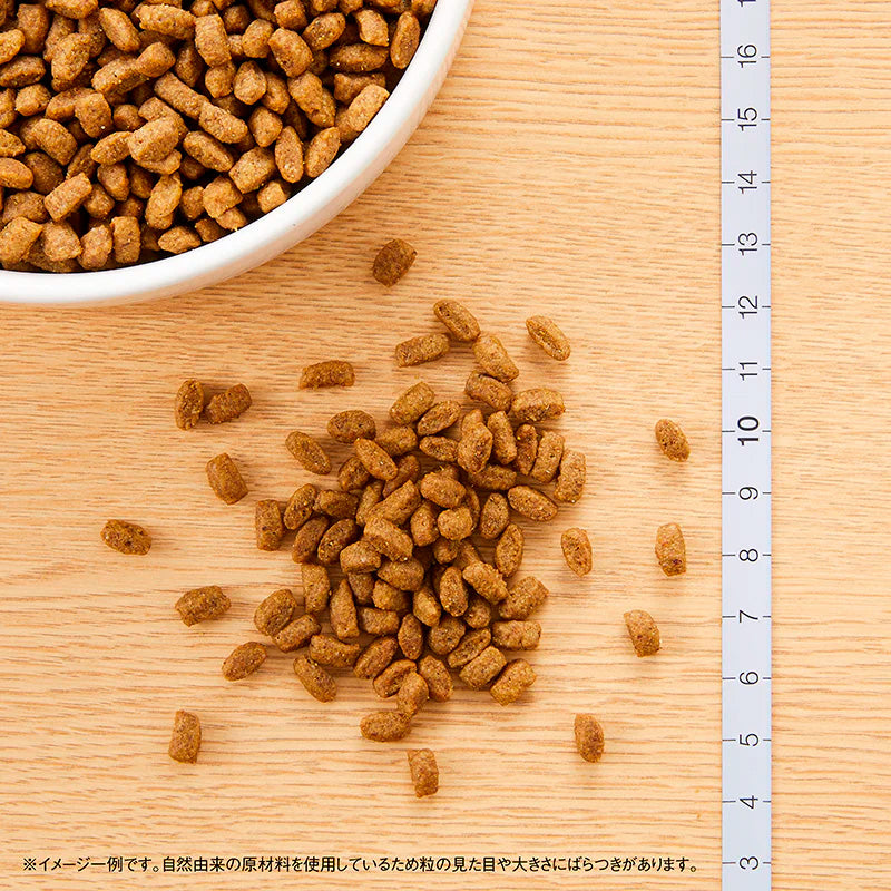 ニュートロ シュプレモ 子犬用 小粒 6kg NS104