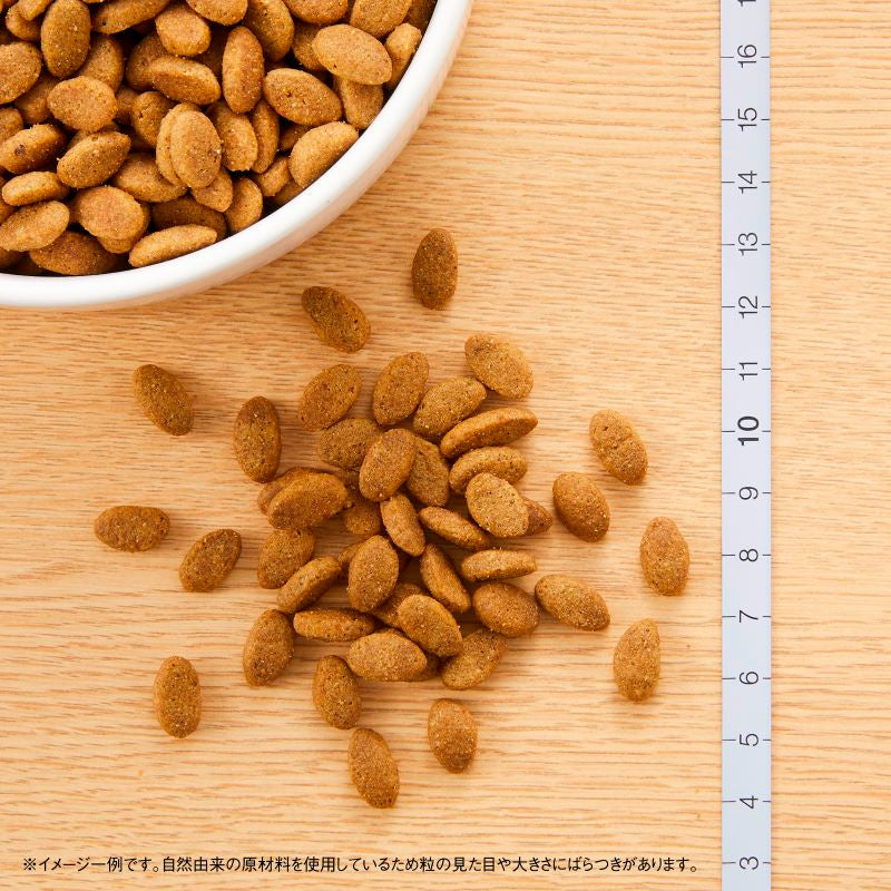 ニュートロ シュプレモ 小型犬用 成犬用 3kgX4 NS108