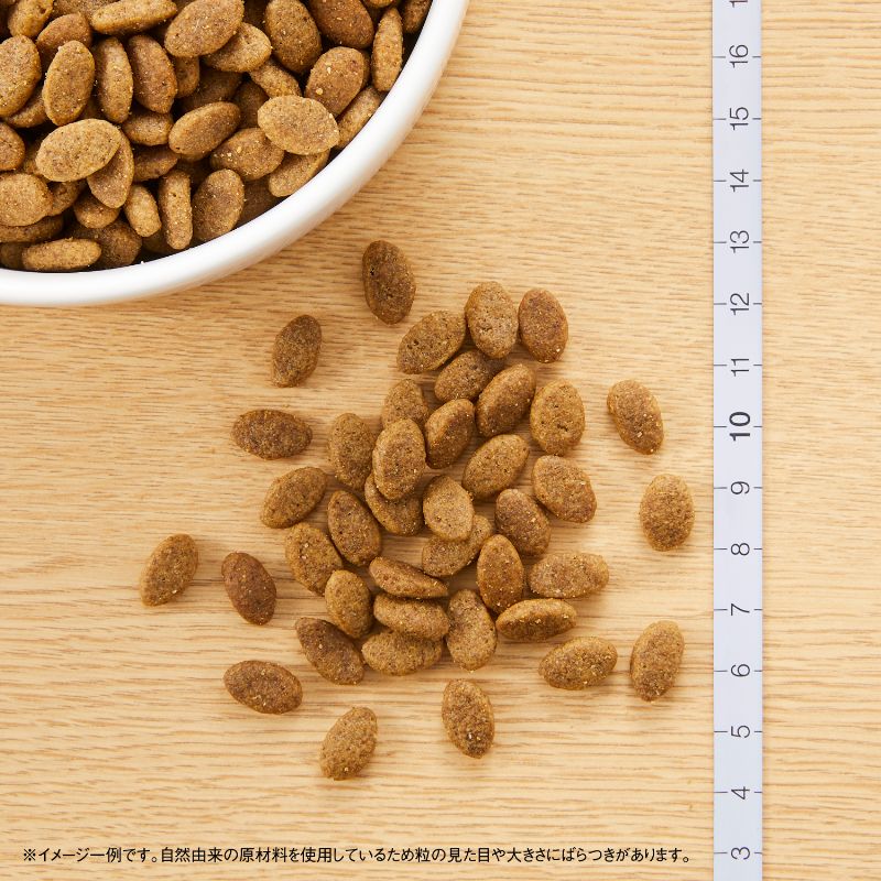 ニュートロ シュプレモ 超小型犬～小型犬用 成犬用 地中海のレシピ