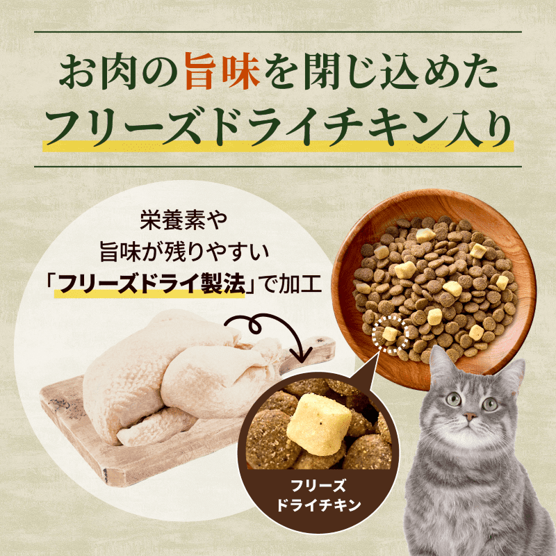 ニュートロ キャット ワイルドレシピ フリーズドライプラス アダルトチキン 成猫用 1kg 正規品 NW303