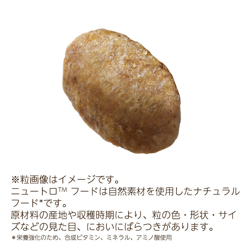 ニュートロ ナチュラルチョイス キャット 室内猫用 キトン チキン 2kg