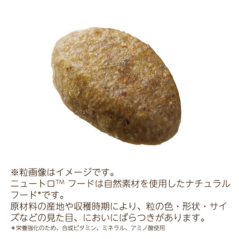 ニュートロ ナチュラルチョイス キャット 室内猫用 アダルト チキン 2kg NC145