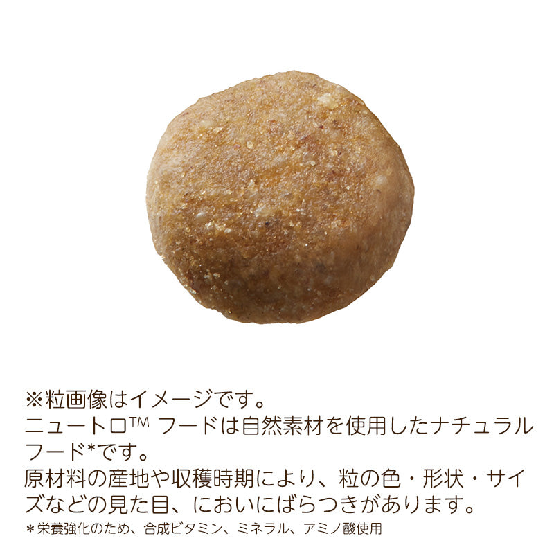ニュートロ ナチュラルチョイス キャット 食にこだわる猫用 アダルト チキン 2kg NC175