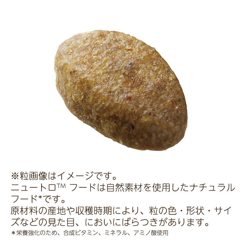 ニュートロ ナチュラルチョイス キャット 毛玉トータルケア アダルト チキン 2kg NC178