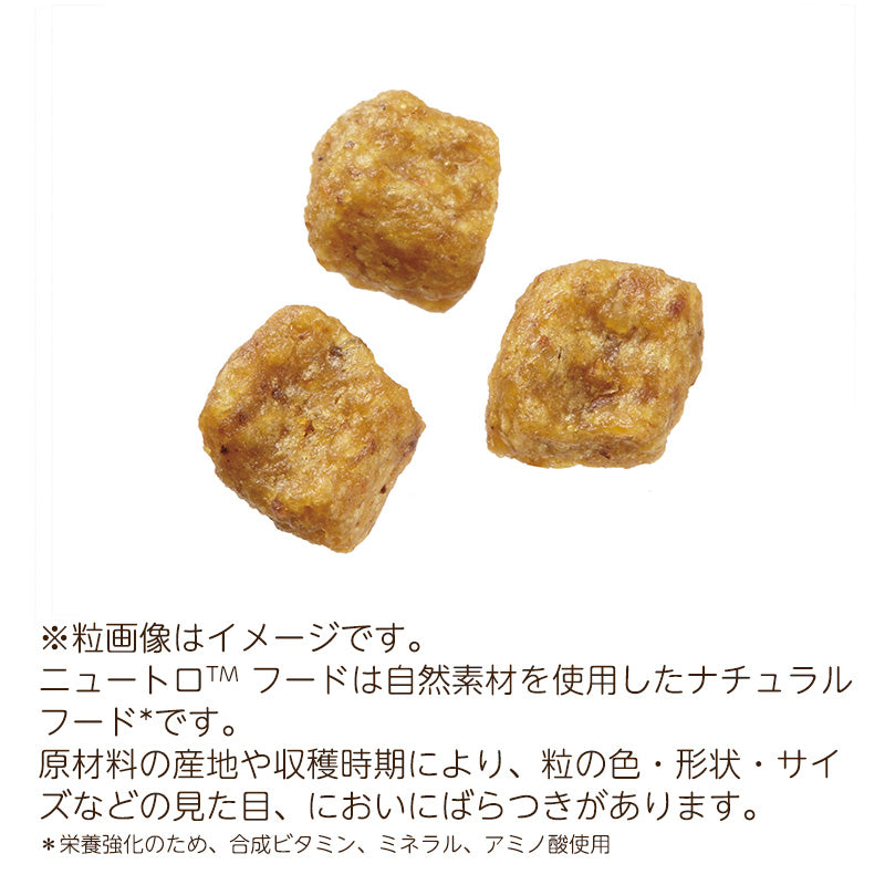 ニュートロ ナチュラルチョイス 超小型犬4kg以下用 成犬用 生後8ヶ月以上 チキン＆玄米 4kg ND108