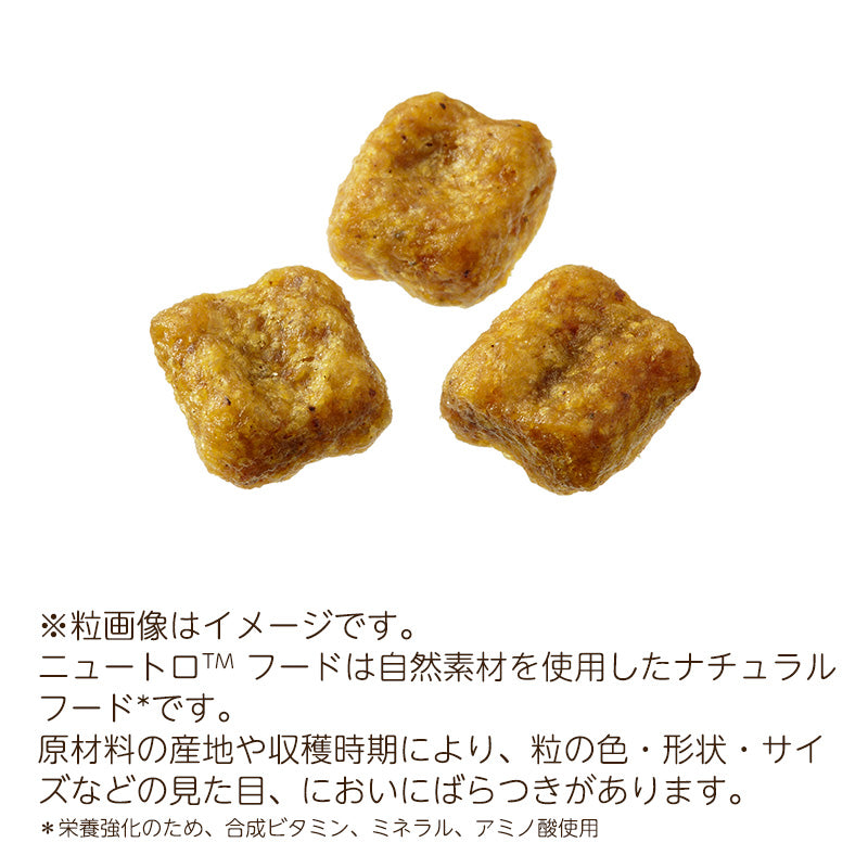 ニュートロ ナチュラルチョイス 小型犬用 エイジングケア チキン＆玄米 3kg ND119