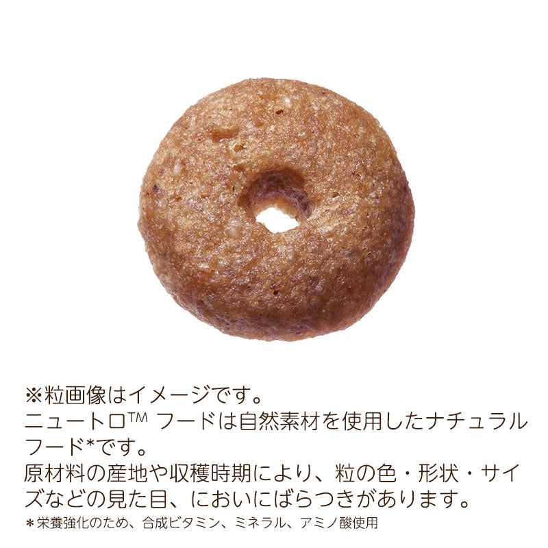 ニュートロ ナチュラルチョイス ラム＆玄米 中型犬～大型犬用 エイジングケア 7.5kgX2 ND382