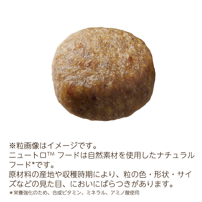 ニュートロ キャット ワイルド レシピ エイジングケア チキン シニア猫用 2kg NW224